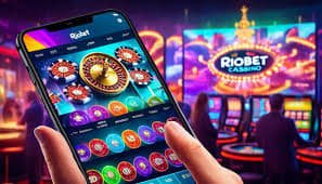 36t8 bet